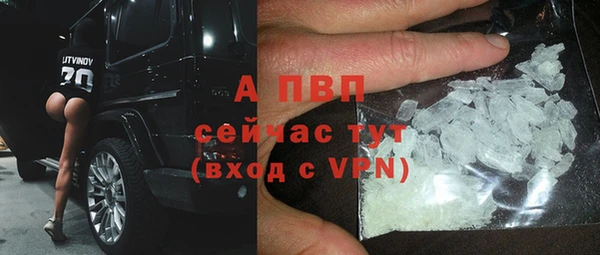 спиды Арсеньев