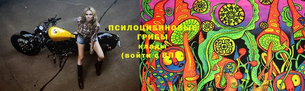 спиды Арсеньев