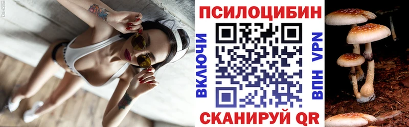 ОМГ ОМГ ONION Хилок Галлюциногенные грибы Psilocybe